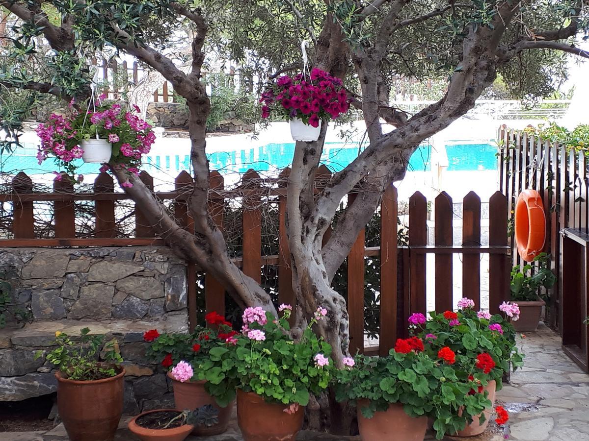 אגיה פוטיה Ferma Solaris Apartments מראה חיצוני תמונה